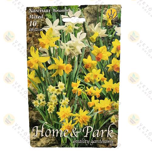 N�rcisz - Botanikai - Sz�nkever�k 10 db