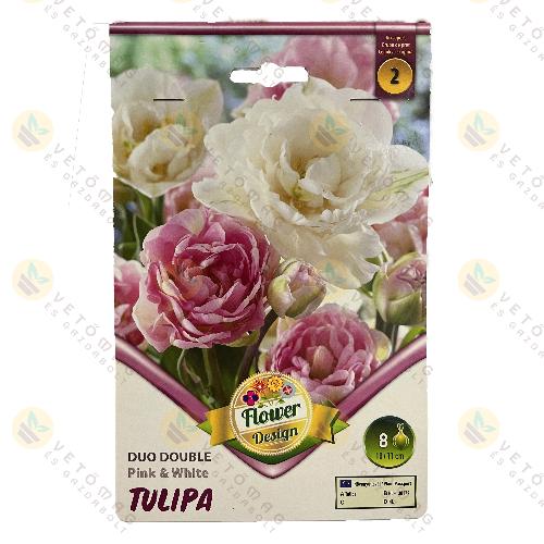 Tulip�n Duo Dupla - Pink and White 6 db