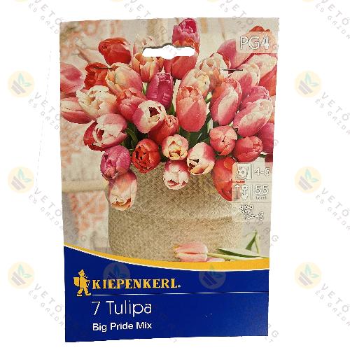 Tulip�n / Big Pride Mix / 7 db