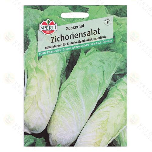 Cikóriasaláta - Zuckerhut 1 csomag