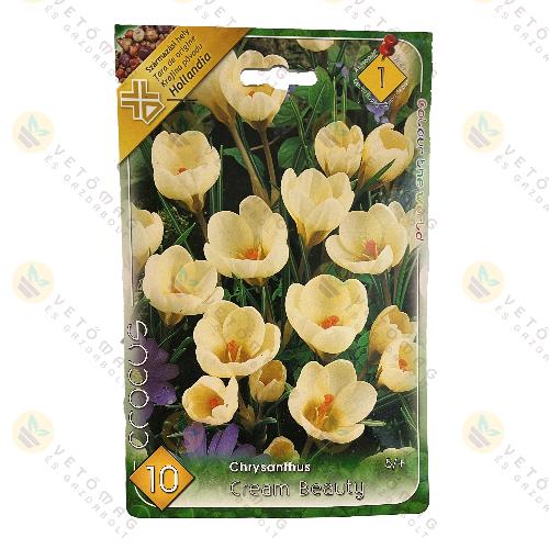 Kr�kusz - Cream Beauty 10 db