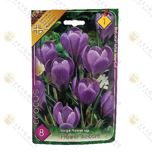 Kr�kusz - Flower Record 8 db