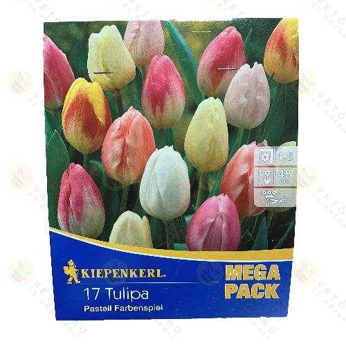Tulipán - Mega Pack - Pastell Mix 15 db