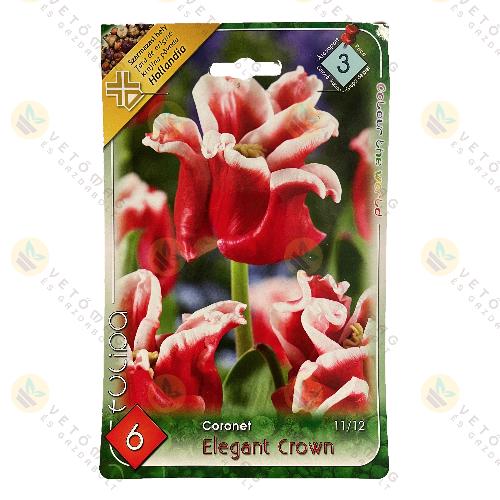 Tulip�n - Elegant Crown 6 db