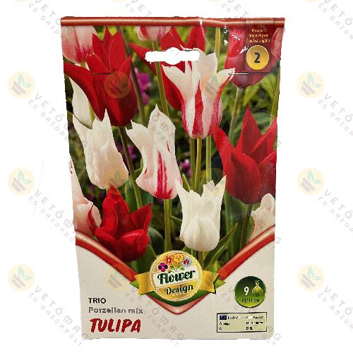 Tulip�n Trio - Porzellan Mix 6 db