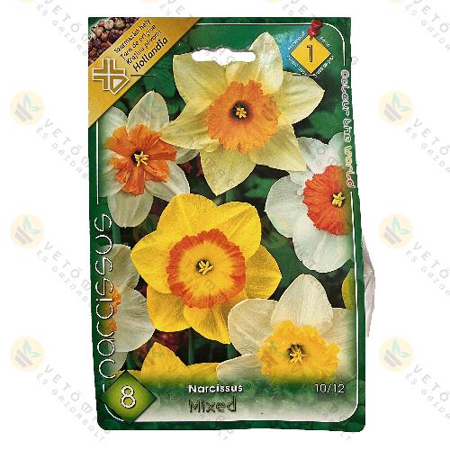 N�rcisz - Sz�nkever�k 8 db