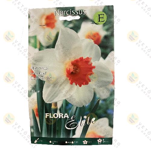 Nárcisz / Cool Flame / 5 db