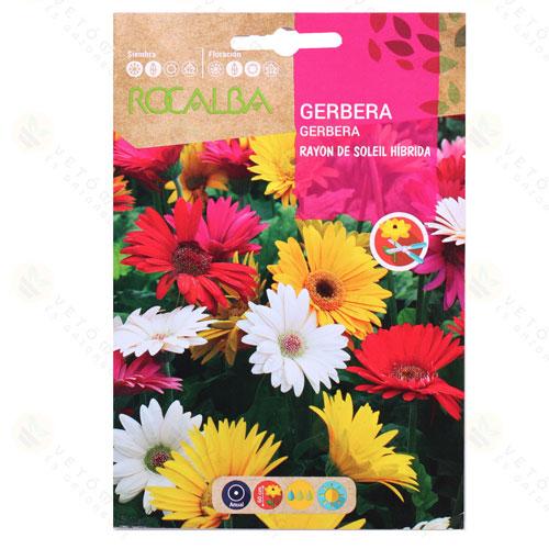 Gerbera - Napsug�r Hibrid 0,1 g