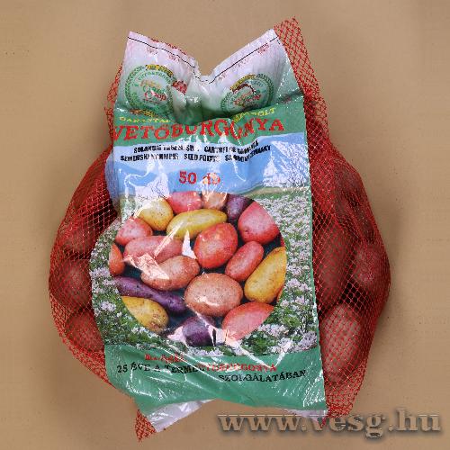 Vetburgonya - Minigum - Red Scarlett 50 szem