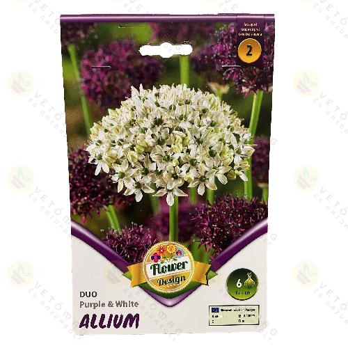 Díszhagyma Duo - Purple and White 6 db