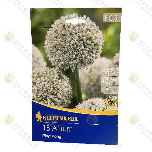 Díszhagyma / Ping Pong / 15 db