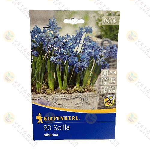 B�kol� Csillagvir�g 20 db