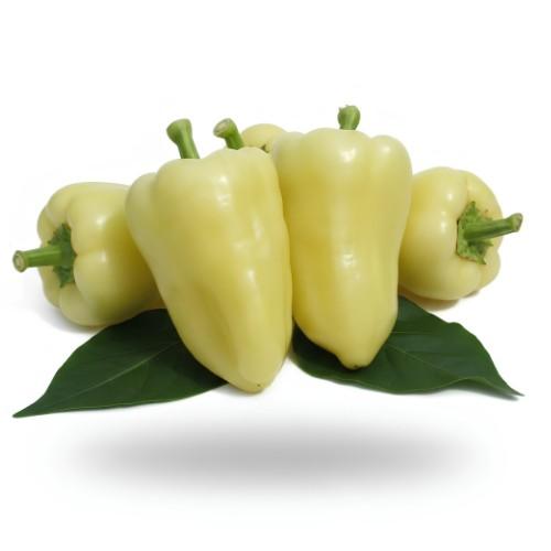 Paprika - Albaregia 1000 szem