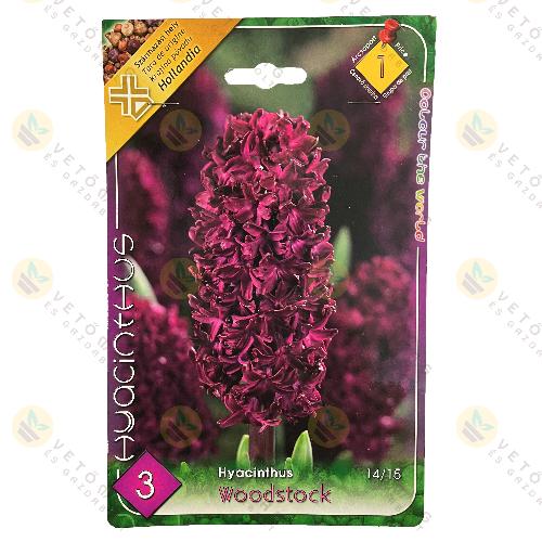 J�cint - Woodstock 3 db