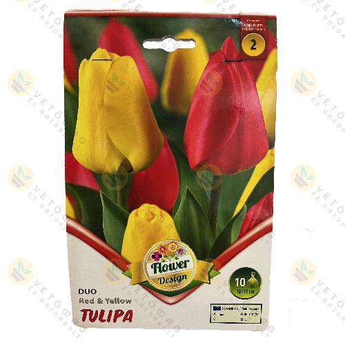 Tulip�n Duo - Red and Yellow 10 db