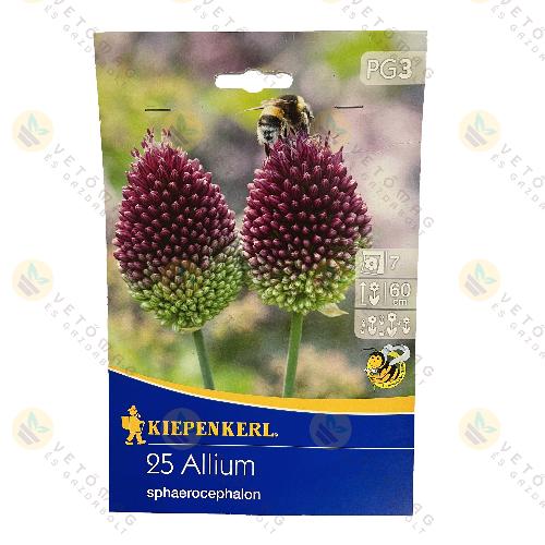 Bunkós Hagyma 25 db