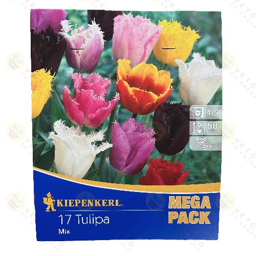 Tulip�n / Orchideavir�g� - Sz�nkever�k / 17db
