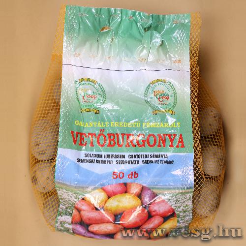 Vetburgonya Minigum - Bluet - 50 szem