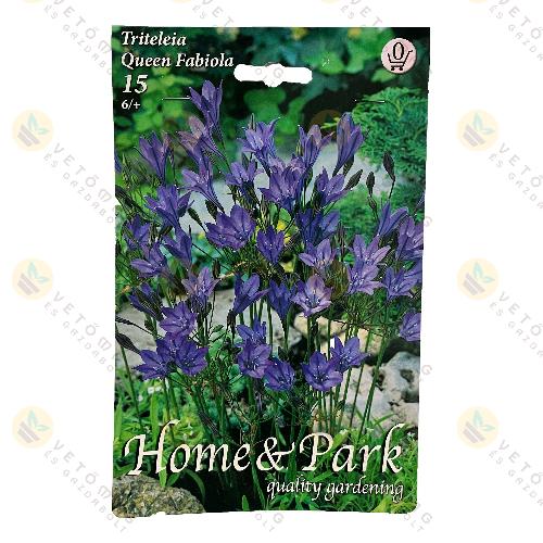 S�t�tk�k Csillaghagyma - Queen Fabiola 15 db