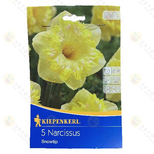 N�rcisz / Snowtip / 5db