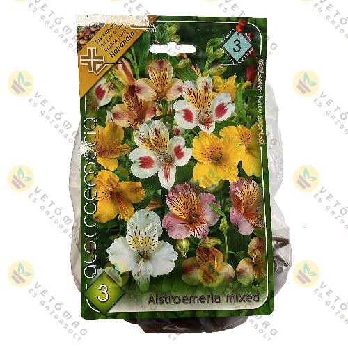 Inkaliliom / Sznkeverk / 3db