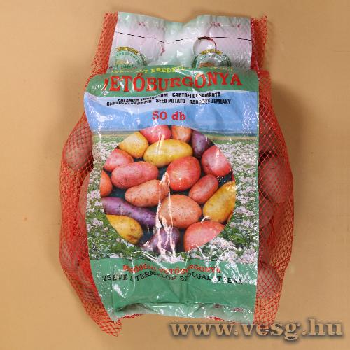 Vetburgonya Minigum / Cristina / 50szem