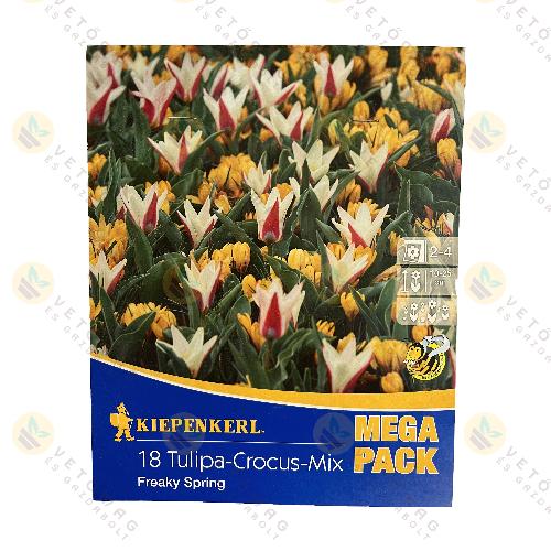 Tulip�n , Kr�kusz Mix / Freaky Spring / 18 db