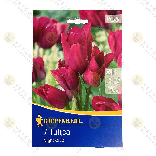 Tulip�n / Night Club / 7 db