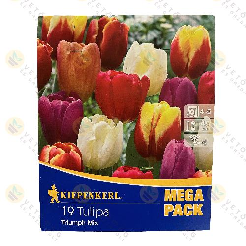 Tulipán Kollekció / Triumph Mix / 19 db