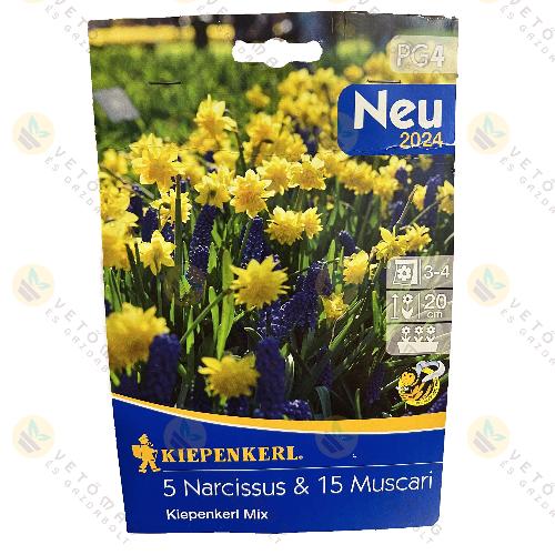 Nárcisz , Gyöngyike Mix / Kiepenkerl Mix / 20 db