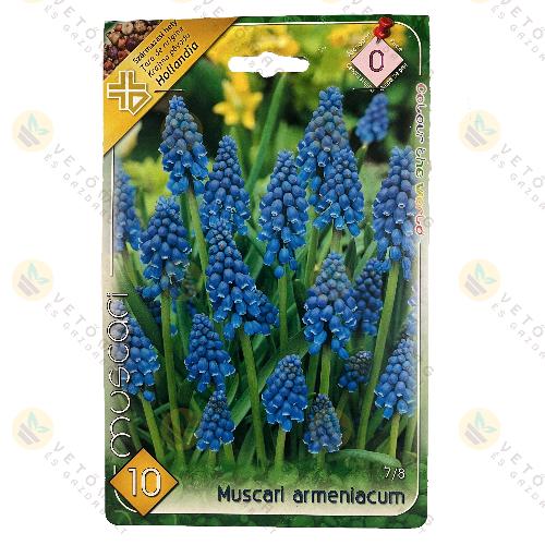 �rm�ny Gy�ngyike 10 db