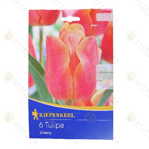 Tulip�n / Jimmy / 10db