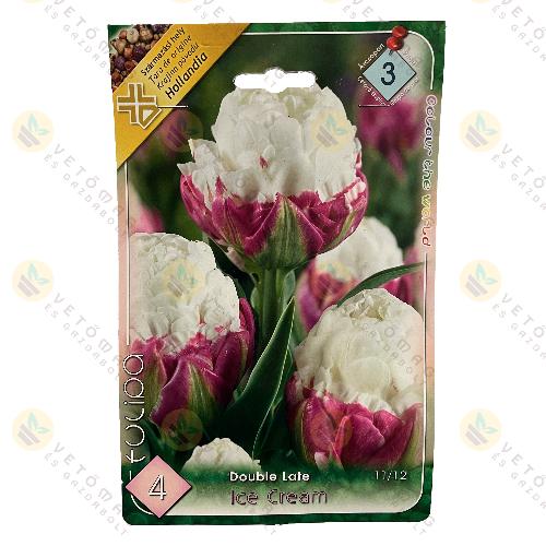 Tulipn - Ice Cream 4 db