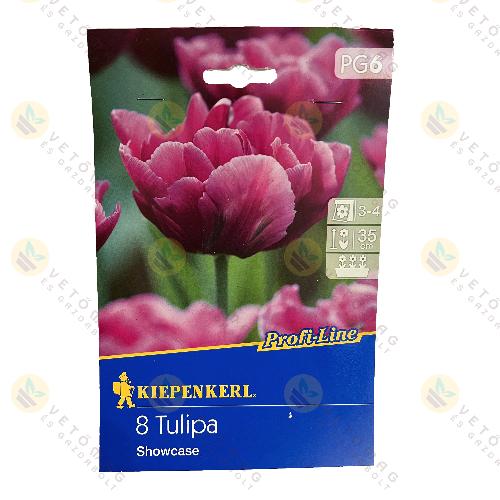 Tulip�n / Showcase / 8 db