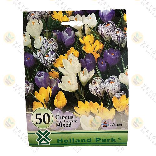 Kr�kusz - Nagyvir�g� - Sz�nkever�k 50 db