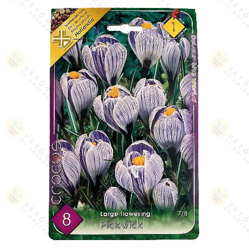 Krkusz - Pickwick 8 db