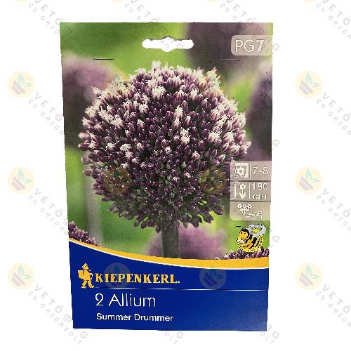 Díszhagyma / Summer Drummer / 2 db