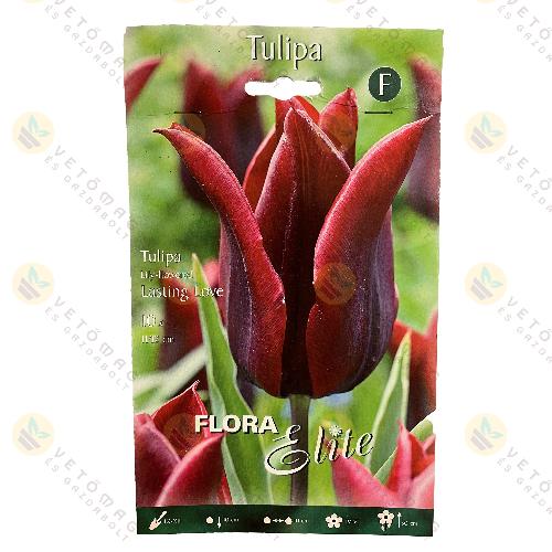 Tulipn / Lasting Love / 10 db