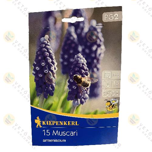 �rm�ny Gy�ngyike 15 db