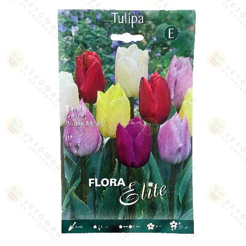 Tulip�n / Prince Mixed / 10db