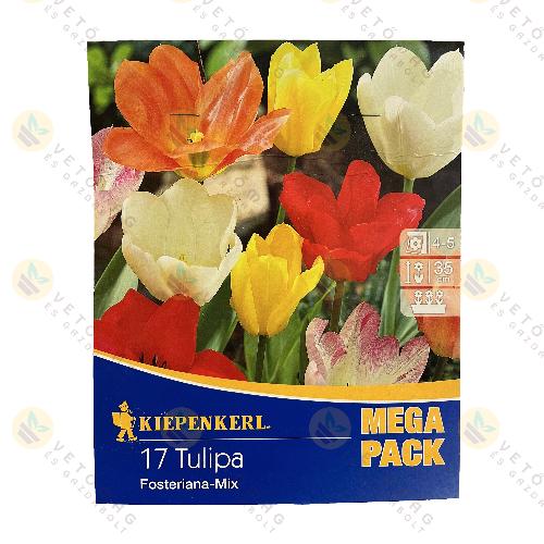 Tulip�n Kollekci� / Fosteriana - Mix / 17 db