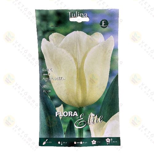 Tulipán / Agrass White / 10db