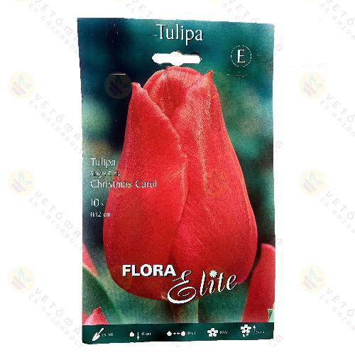 Tulip�n / Christmas Carol / 10db