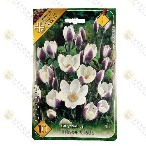 Krkusz - Prince Claus 10 db