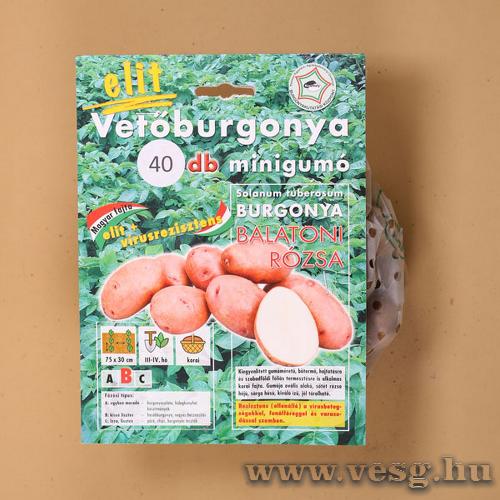 Vetburgonya - Minigum -  Balatoni Rzsa 40 szem