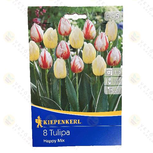 Tulipán / Happy Mix / 8db