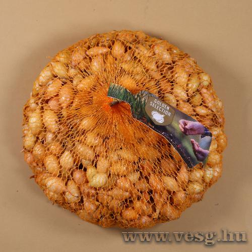 Dughagyma - Sturon - 500 g