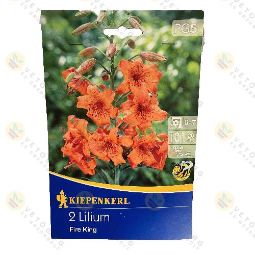 Liliom / Fire King / 2 db