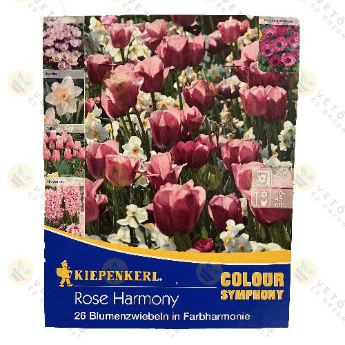 Colour Symphony Kollekci� / Rose Harmony / 26 db