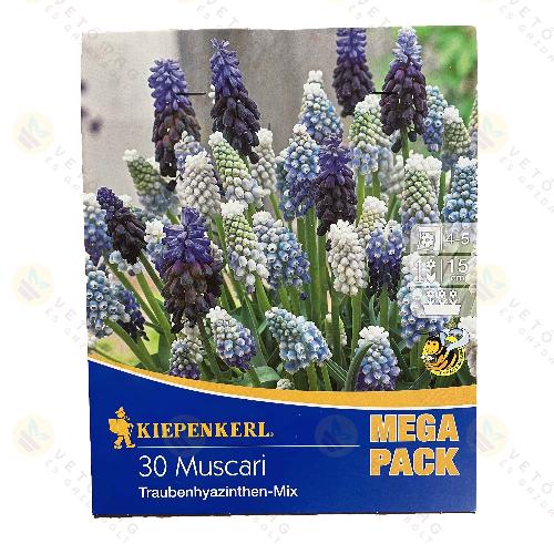 �rm�ny Gy�ngyike / Sz�nkever�k / 30db